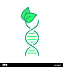 BioFuture Technologies GmbH